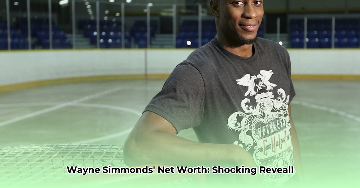 wayne-simmonds-net-worth